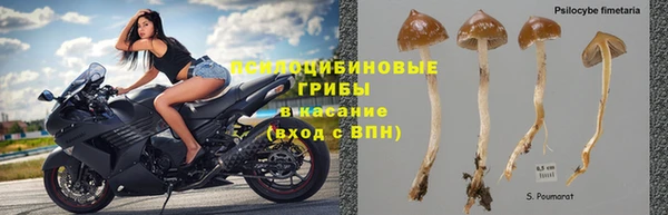 дмт Алзамай
