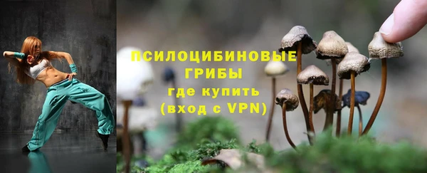 дмт Алзамай