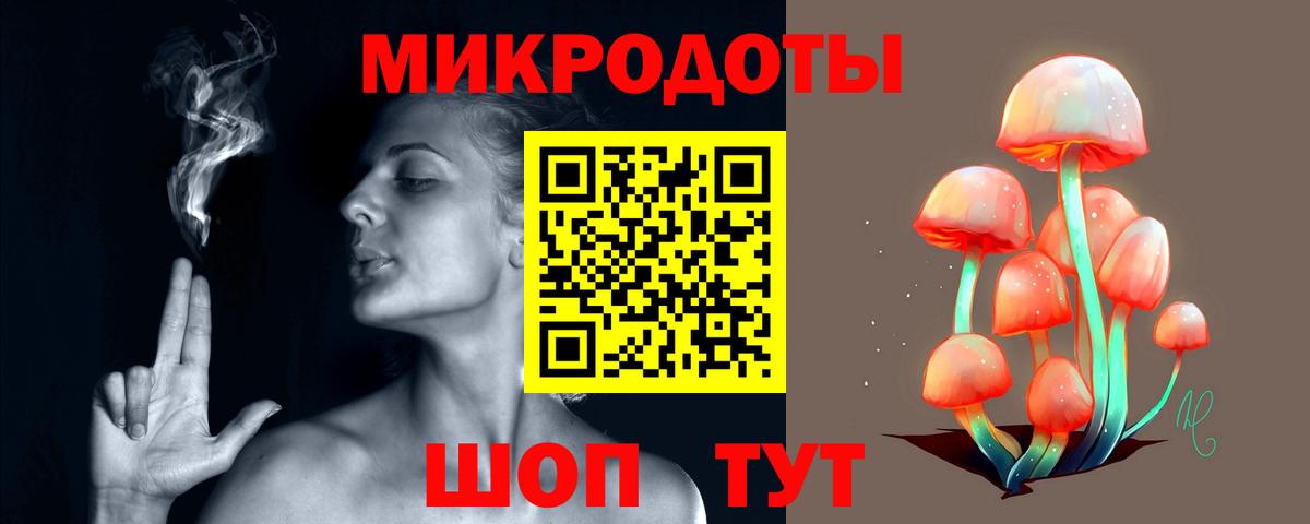 Ленинск-Кузнецкий  Псилоцибиновые грибы Psilocybine cubensis  Вход с VPN 