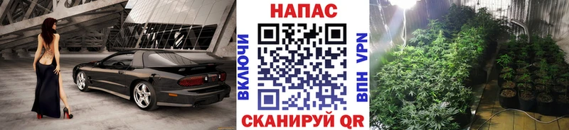 KRAKEN сайт  Ленинск-Кузнецкий  Марихуана Bruce Banner  как найти закладки 